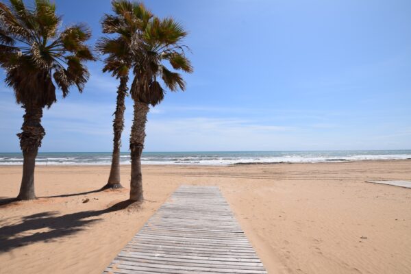 Torrelamata - La Mata