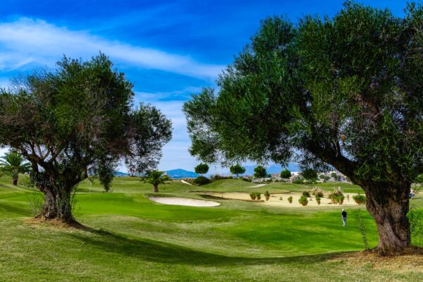 Vistabella golf resort