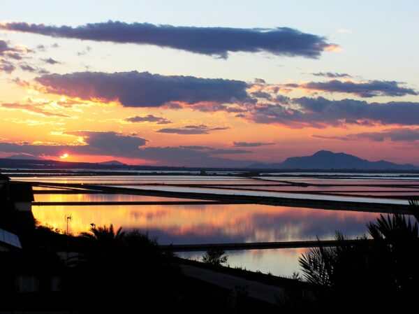 Arenales del Sol