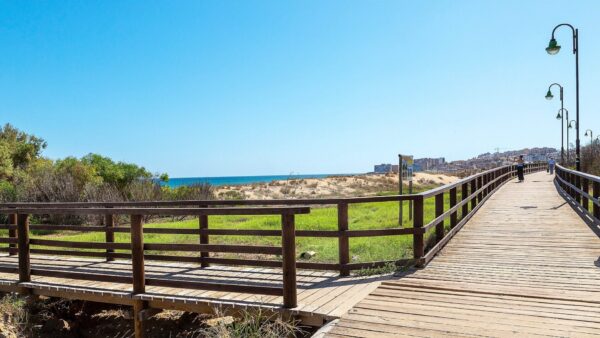 Torrelamata - La Mata