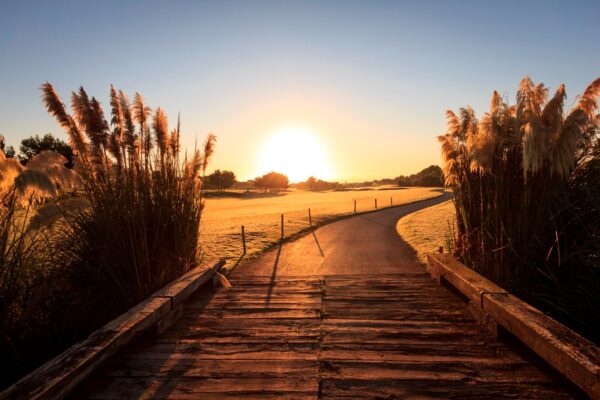 Lo Romero golf resort