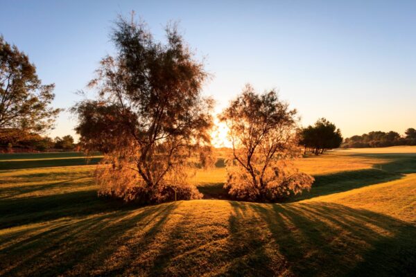 Lo Romero golf resort