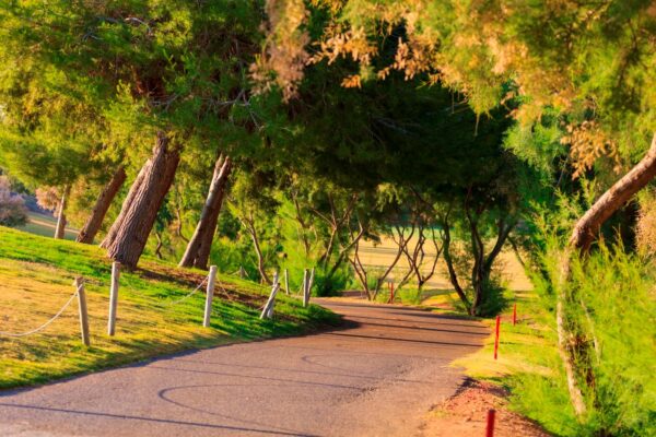 Lo Romero golf resort