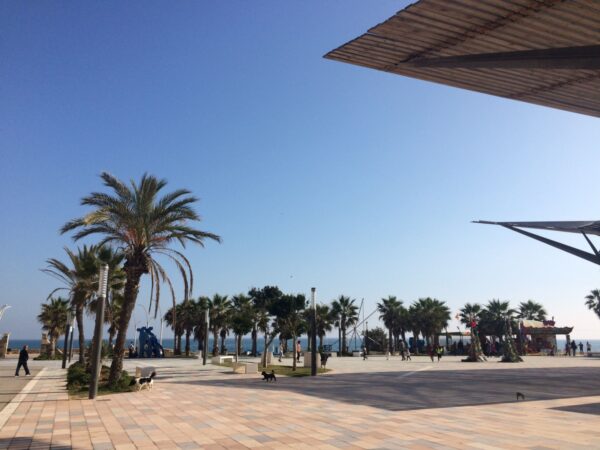 Torrelamata - La Mata