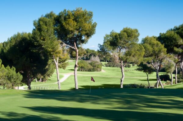 Torrelamata - La Mata