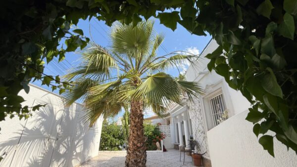 Costa Blanca Sur