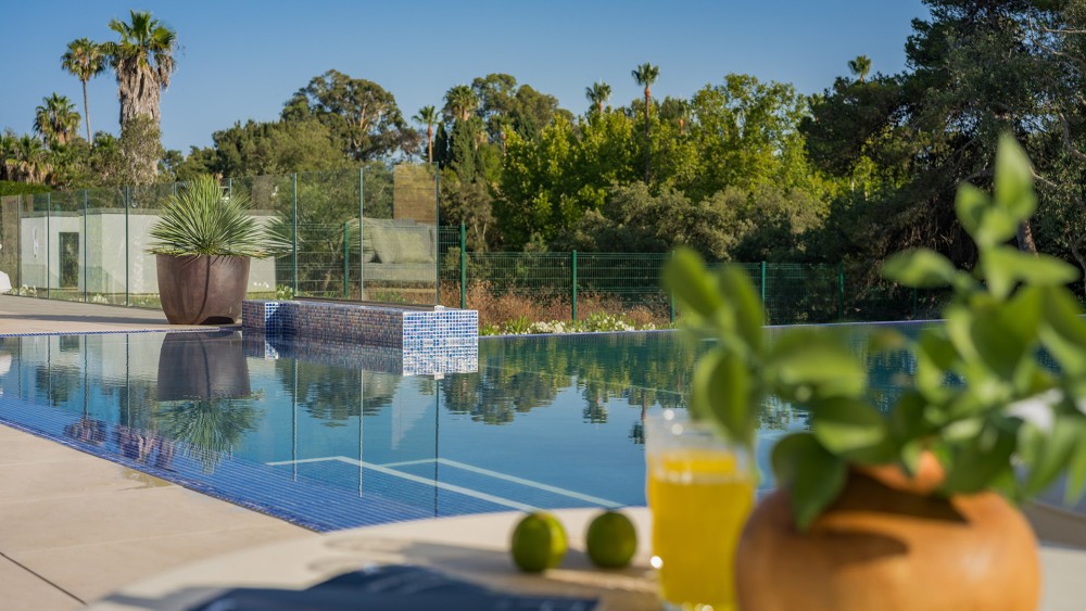 Kings & Queens, Sotogrande, Spain
