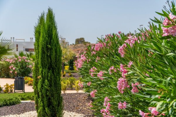 Vistabella golf resort